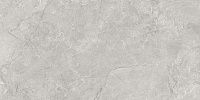 Керамогранит Pluto Silver светло-серый мат 59,5x119,1 9 мм арт. SG50005220R