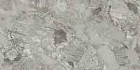 Rock Grey Polished. Универсальная плитка (60x120)