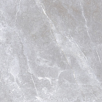 Space Stone серый. Универсальная плитка (59,5x59,5)