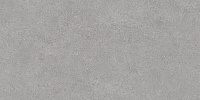 DL500800R Фондамента серый светлый обрезной. Универсальная плитка (60x119,5)