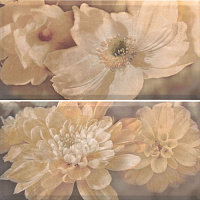 Панно Magnolia Natural (из 2-х плиток) глянц, 60x60