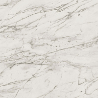 Керамогранит Marvel Statuario Select Lapp лап, 60x60 9.0 мм, арт. ADUM