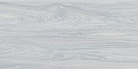 Керамогранит Палисандр серый светлый., 30x60, арт. SG210800N