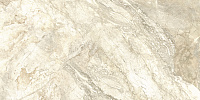 D12061M Slate Beige. Универсальная плитка (60x120)