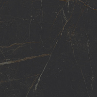 Керамогранит Royal чёрный, 40,2x40,2 8 мм, арт. SG163900N