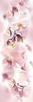 Панно Orchid P2D135 из 2-х шт глянц, 60x20
