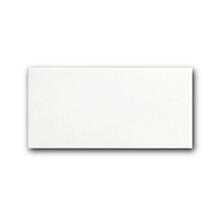 White. Настенная плитка (10x20)