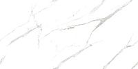 Керамогранит Calacatta Pleasant белый полир 60x120 8,3 мм