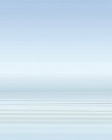 Панно Porto Water and Swan B глянц, 75x60