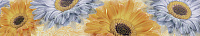 Бордюр Gerbera, 8x44, арт. GB1J451DT