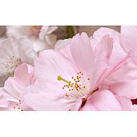 Декор ативный массив Букет розовый глянц 25x40 8 мм арт. 07-00-5-09-01-41-662