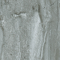 PAV. CENTURY GRIS. Напольная плитка (31,6x31,6)