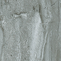 Керамогранит PAV. CENTURY GRIS, 31,6x31,6