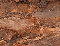 Плитка Trevi коричневая глянц, 30x45, арт. (TYN111D)