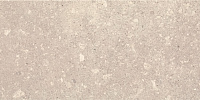 Плитка Aragorn Light Grys мат, 30x60 9 мм