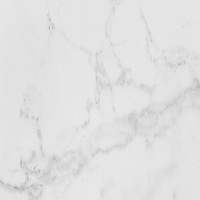 P1856896 Carrara Blanco Brillo. Универсальная плитка (59,6x59,6)