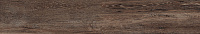BG 05 неполир. Универсальная плитка (19,4x120)