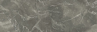 Монако 2 серый. Настенная плитка (25x75)