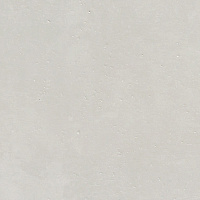 K2634CF600010 Century Unimited светло-серый. Универсальная плитка (20x20)