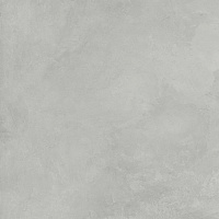 Керамогранит Evolution Smoke светло-серый Матовый Карвинг, 59,5x59,5 9 мм, арт. SG603720R
