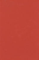 Плитка Minimal Rojo DS71, 25x38