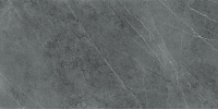 LAMFF00572_IT SL.IN.PG.LC PIETRA GREY LUCIDATO. Универсальная плитка (100x300) 5,6 мм