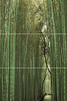 Панно Bambu (из 3-х плиток ) D/E/F глянц, 50x75 11 мм