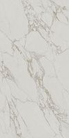 Керамогранит Монте Тиберио серый светлый обрезной мат 119,5x238,5 9 мм арт. SG593120R