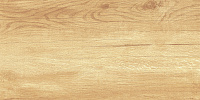 Плитка Paradise Wood глянц, 25x50 9 мм, арт. WT9OAS31