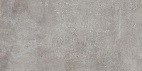 Silver Rect. Универсальная плитка (59,7x119,7)