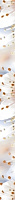 Сакура В61301. Бордюр (40x3)