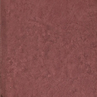 Плитка Prugna полир, 20x20