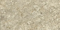 Керамогранит ФОРТЕ ДЕЙ МАРМИ КВАРК Браз Голд мат 80x160 9 мм арт. 610010002959