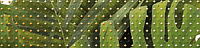 Бордюр Tropicana Зеленый глянц, 6x25 7 мм, арт. (TC1C021DT)