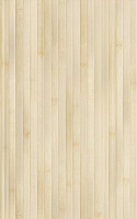 Бамбук бежевый. Настенная плитка (25x40)
