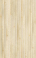 Плитка Бамбук бежевый, 25x40