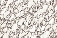 Керамогранит Bulgari Calacatta Viola Polished полир, 160x320 6 мм, арт. MN126AP321606