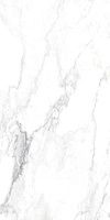 Керамогранит CANOVA ARABESCATO LAP RET мат 60x120 8,5 мм арт. J88516