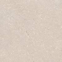 Керамогранит Coral Caliza L мат, 120x120 8,5 мм, арт. 100330176