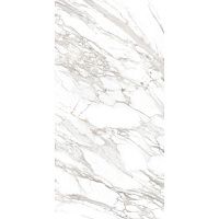 Керамогранит Айс светло-серый мат 60x120 11 мм