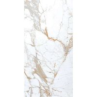 Керамогранит ROMAN BROWN (AUTHENTIC) глянц 60x120 9 мм