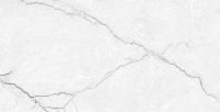 Torso Bianco Полированный. Универсальная плитка (60x120)
