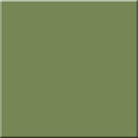 Керамогранит RW 06 полир, 60x60