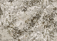 Керамогранит Frozen Fox Polished полир, 120x260 6 мм, арт. MN627BP261206