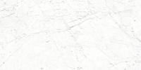 CV20187 Carrara Bianco Glossy. Универсальная плитка (60x120)