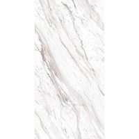 Керамогранит ATLANTA WHITE SILVER GLOSSY CARVING SS глянц 60x120 9 мм арт. СК000042821