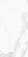 Керамогранит Avenzo Silver F P Lappato лап, 59,5x119 10 мм, арт. MDT25F35110G
