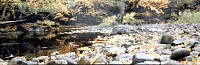 Декор View Decor C, 25,1x75,6