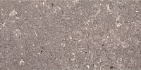 Плитка Aragorn Grys мат, 30x60 9 мм