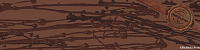 Декор Décor Chocolate Belgique глянц, 10x40